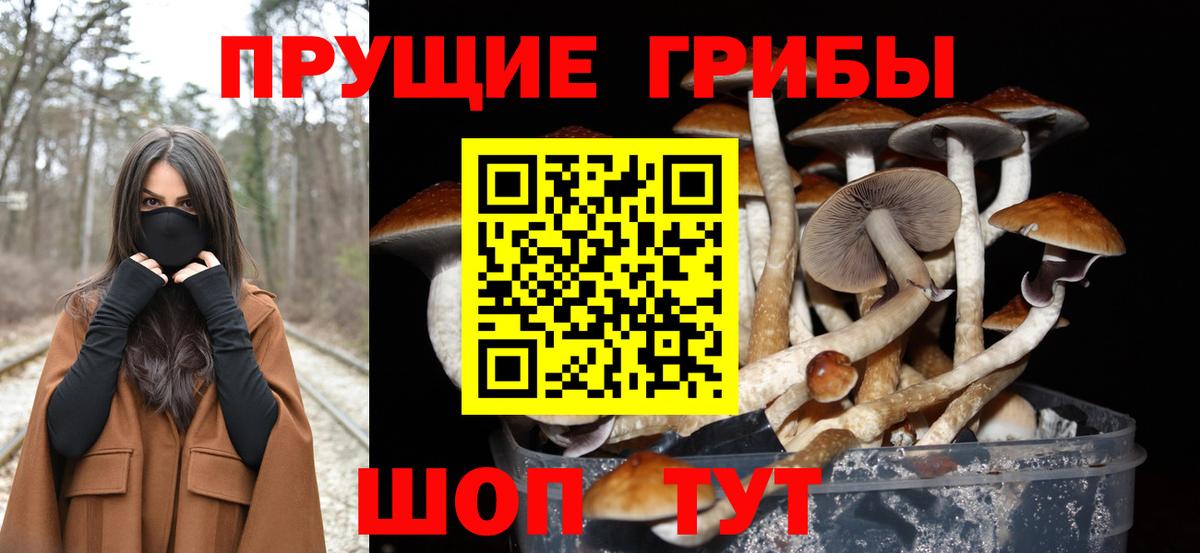 Псилоцибиновые грибы Psilocybine cubensis  Вход с VPN  Усть-Кут 
